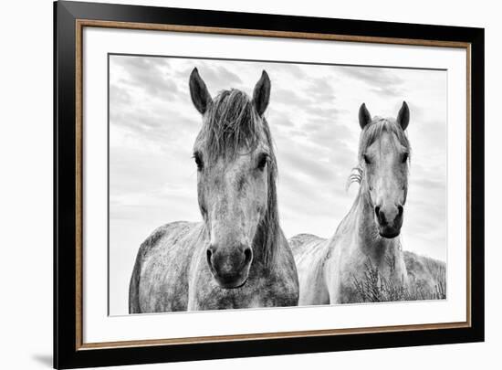 White Horses, Camargue, France-Nadia Isakova-Framed Photographic Print