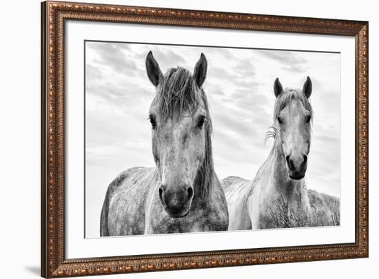 White Horses, Camargue, France-Nadia Isakova-Framed Photographic Print