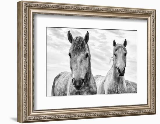 White Horses, Camargue, France-Nadia Isakova-Framed Photographic Print