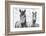 White Horses, Camargue, France-Nadia Isakova-Framed Photographic Print