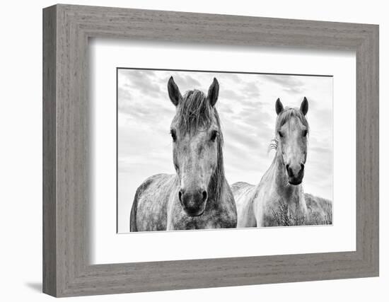 White Horses, Camargue, France-Nadia Isakova-Framed Photographic Print