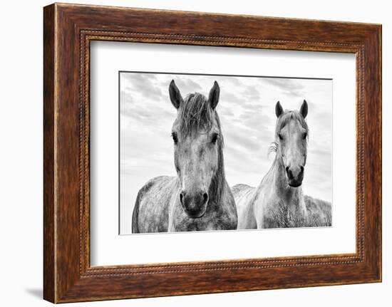 White Horses, Camargue, France-Nadia Isakova-Framed Photographic Print