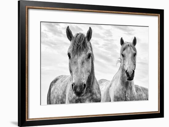 White Horses, Camargue, France-Nadia Isakova-Framed Photographic Print