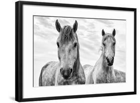 White Horses, Camargue, France-Nadia Isakova-Framed Photographic Print