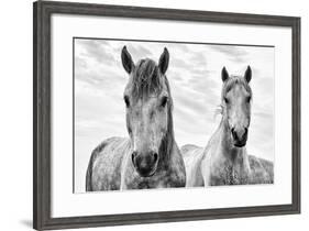 White Horses, Camargue, France-Nadia Isakova-Framed Photographic Print
