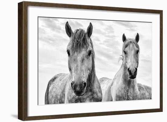 White Horses, Camargue, France-Nadia Isakova-Framed Photographic Print