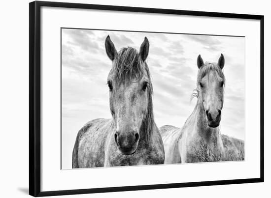 White Horses, Camargue, France-Nadia Isakova-Framed Photographic Print