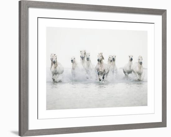 White Horses I-Irene Suchocki-Framed Art Print