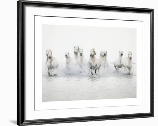 White Horses I-Irene Suchocki-Framed Art Print