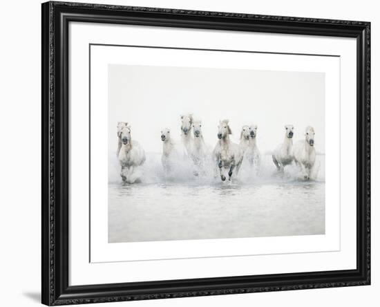 White Horses I-Irene Suchocki-Framed Art Print