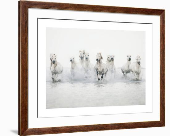 White Horses I-Irene Suchocki-Framed Art Print