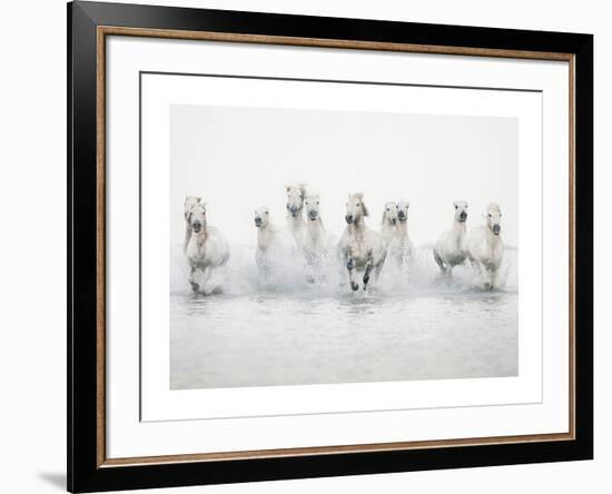 White Horses I-Irene Suchocki-Framed Art Print