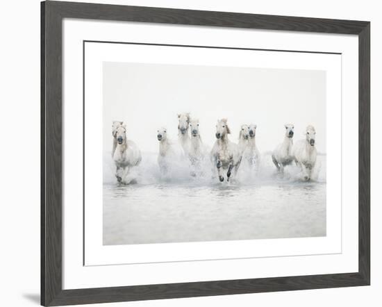 White Horses I-Irene Suchocki-Framed Art Print