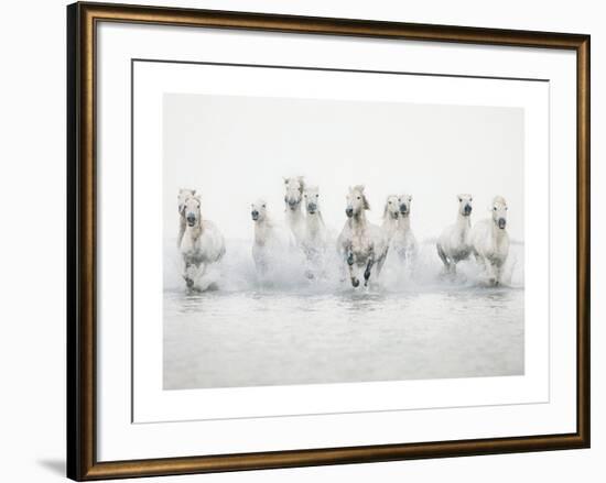 White Horses I-Irene Suchocki-Framed Art Print