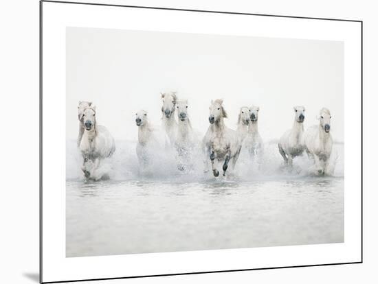 White Horses I-Irene Suchocki-Mounted Art Print