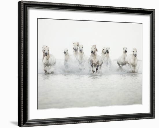 White Horses I-Irene Suchocki-Framed Giclee Print