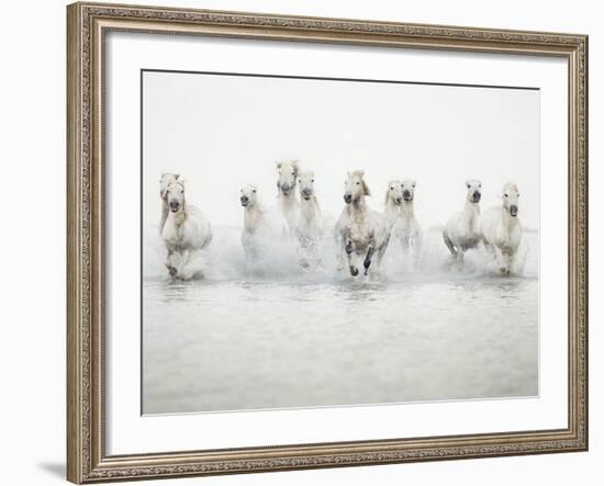 White Horses I-Irene Suchocki-Framed Giclee Print