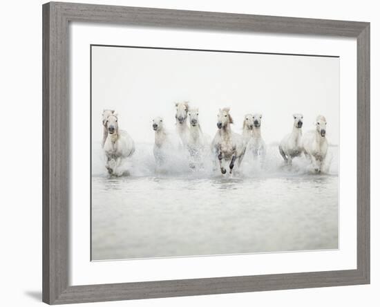 White Horses I-Irene Suchocki-Framed Giclee Print