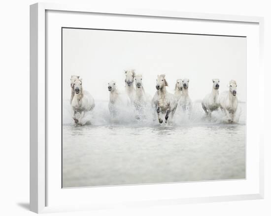 White Horses I-Irene Suchocki-Framed Giclee Print