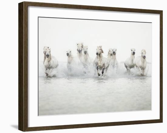 White Horses I-Irene Suchocki-Framed Giclee Print