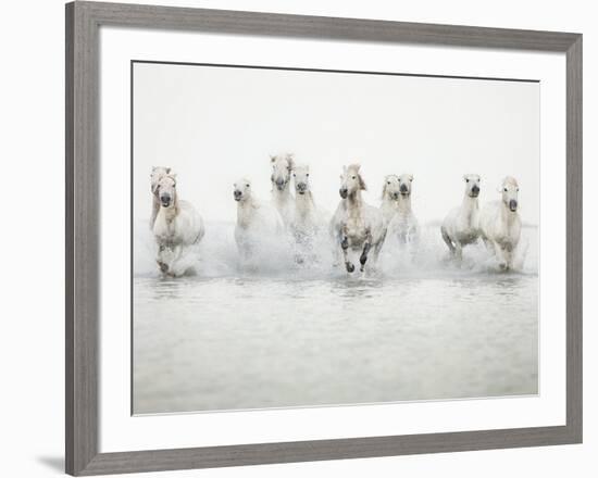 White Horses I-Irene Suchocki-Framed Giclee Print