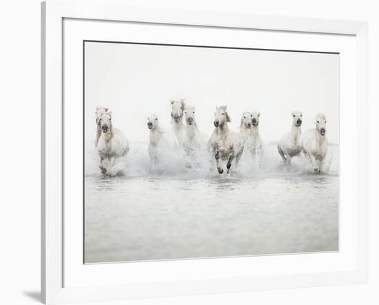 White Horses I-Irene Suchocki-Framed Giclee Print