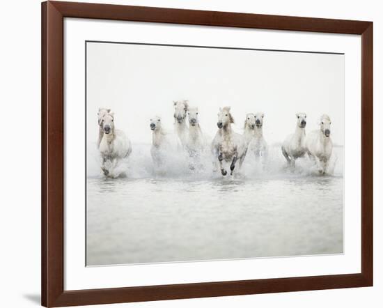 White Horses I-Irene Suchocki-Framed Giclee Print