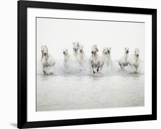 White Horses I-Irene Suchocki-Framed Giclee Print