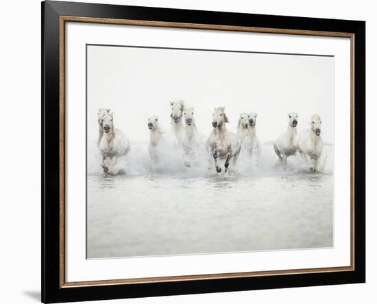 White Horses I-Irene Suchocki-Framed Giclee Print