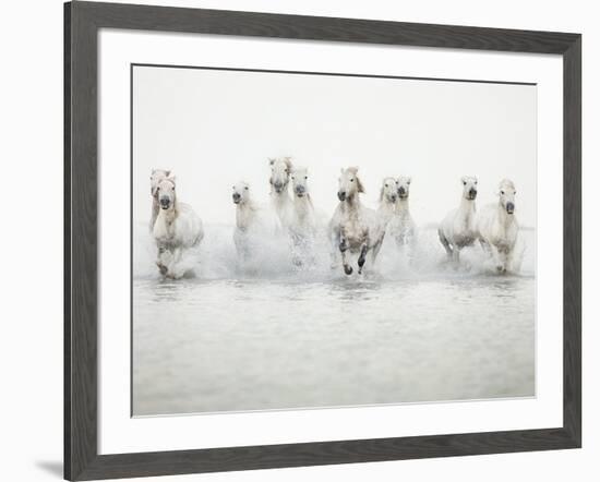 White Horses I-Irene Suchocki-Framed Giclee Print