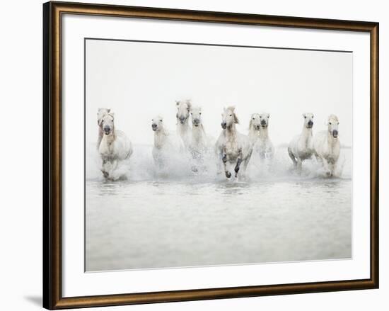 White Horses I-Irene Suchocki-Framed Giclee Print