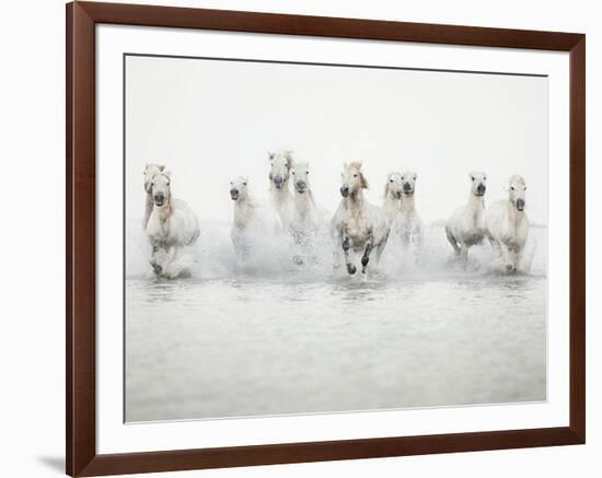 White Horses I-Irene Suchocki-Framed Giclee Print