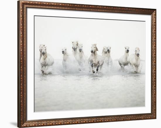 White Horses I-Irene Suchocki-Framed Giclee Print