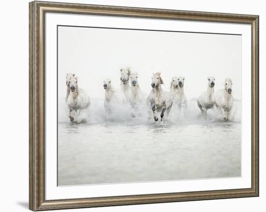 White Horses I-Irene Suchocki-Framed Giclee Print