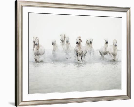 White Horses I-Irene Suchocki-Framed Giclee Print