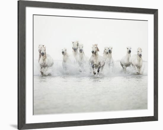 White Horses I-Irene Suchocki-Framed Giclee Print