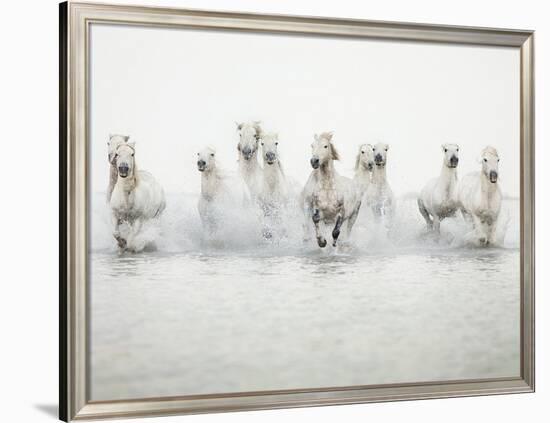 White Horses I-Irene Suchocki-Framed Giclee Print