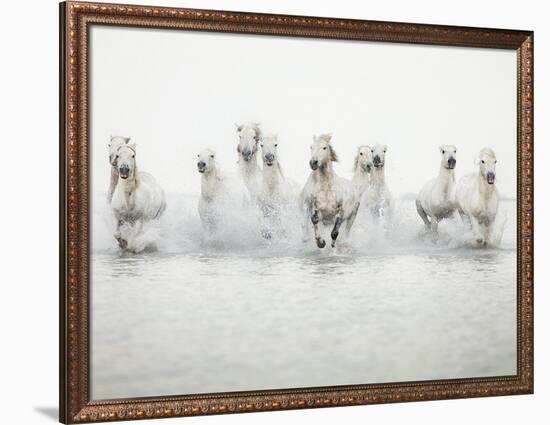 White Horses I-Irene Suchocki-Framed Giclee Print