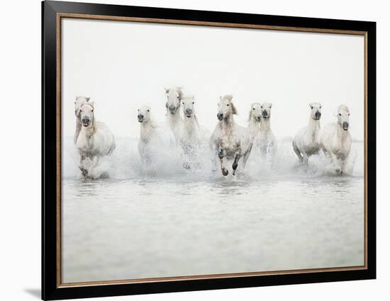 White Horses I-Irene Suchocki-Framed Giclee Print