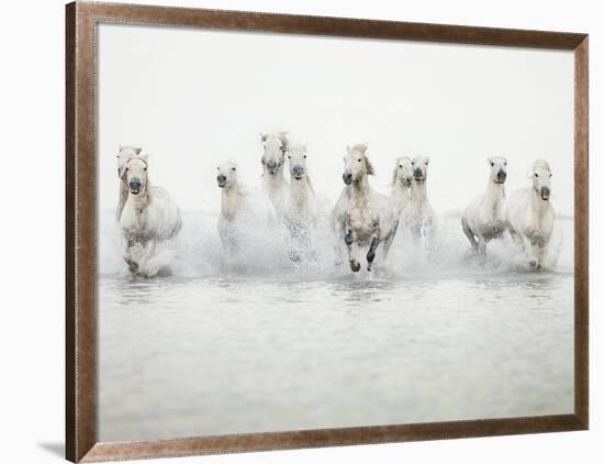 White Horses I-Irene Suchocki-Framed Giclee Print