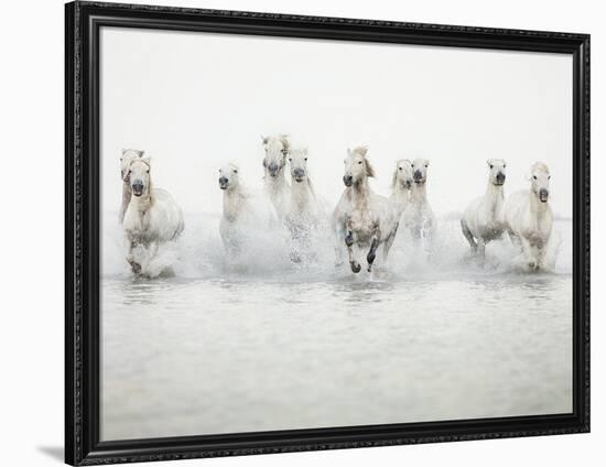 White Horses I-Irene Suchocki-Framed Giclee Print