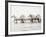 White Horses II-Irene Suchocki-Framed Giclee Print