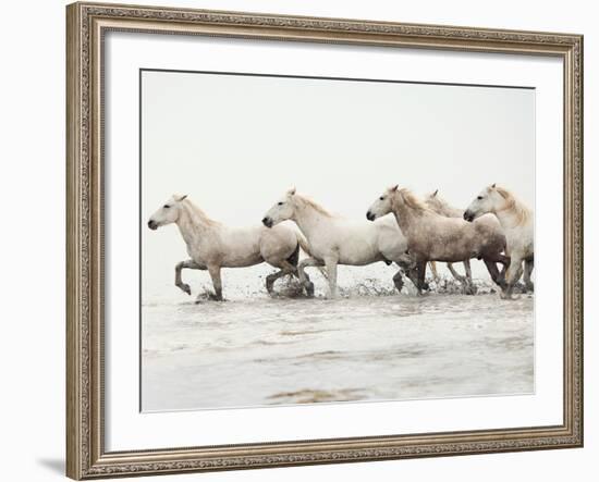 White Horses II-Irene Suchocki-Framed Giclee Print