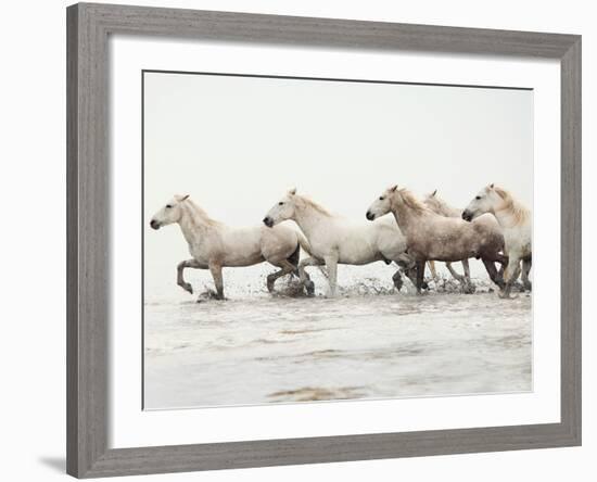 White Horses II-Irene Suchocki-Framed Giclee Print