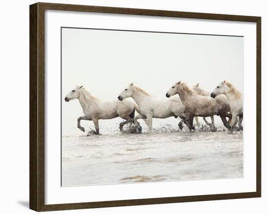 White Horses II-Irene Suchocki-Framed Giclee Print