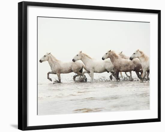 White Horses II-Irene Suchocki-Framed Giclee Print