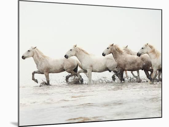 White Horses II-Irene Suchocki-Mounted Giclee Print