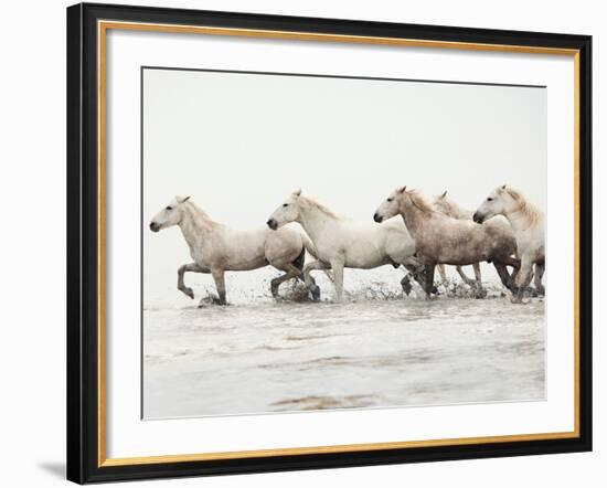 White Horses II-Irene Suchocki-Framed Giclee Print