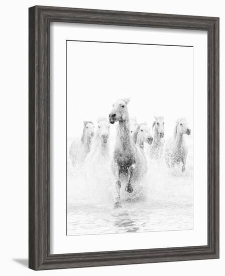 White Horses of Camargue Running Through the Water, Camargue, France-Nadia Isakova-Framed Photographic Print