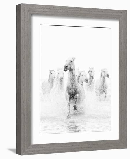 White Horses of Camargue Running Through the Water, Camargue, France-Nadia Isakova-Framed Photographic Print